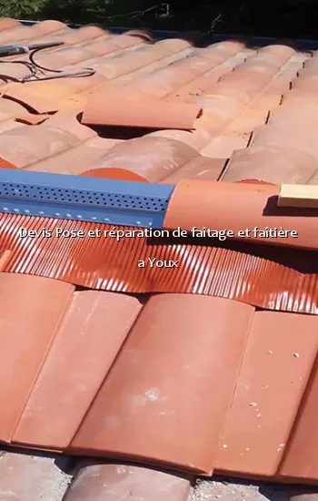 Devis Pose et réparation de faîtage et faîtière a Youx