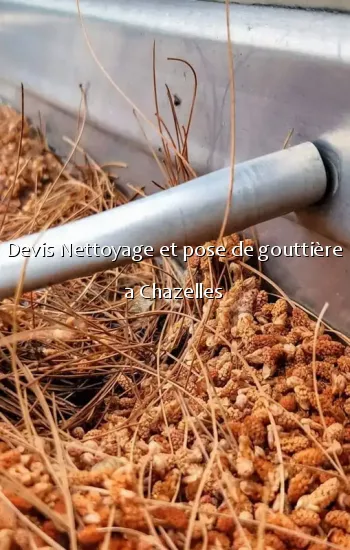 Devis Nettoyage et pose de gouttière a Chazelles